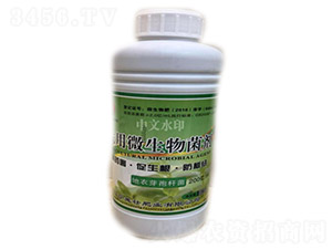 �r��΢�������-ʩ�ѷʘI