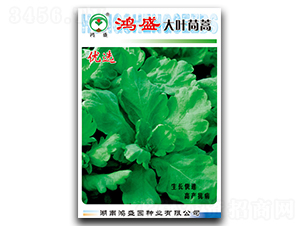 ��ʢ���~����-����N��-��ʢ�@