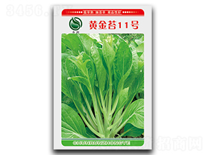 �S��̦11̖-��̦�N��-��ʢ�@