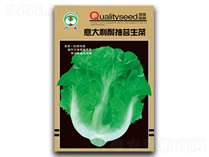 �ͳ�̦����-���˷N��-��ʢ�@