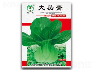 ���^��-��˷N��-��ʢ�@