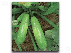 ��2̖(h��o)-�����J�N��-�����o(j��)�N��