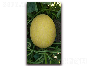 ��Ʒ25-��ϷN��-�F���N�I