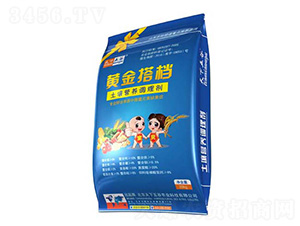 �����I�B�{�턩-�S���n-�������