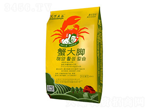 з���_���}��-������� 