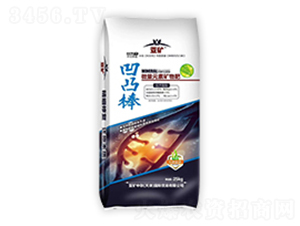 ��͹�������{�턩-�ڼZ