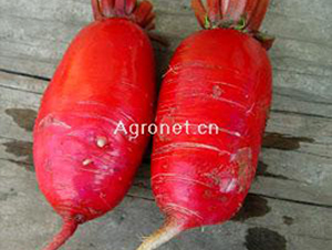 ���x�ļ��M���t�}��-�}���N��-�d�G�N��