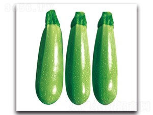 �ۿ�2̖-�����J�N��-��ľ�N��