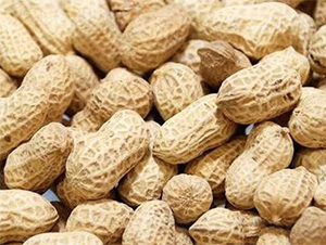 ����4̖-�����N��-���S�r�I