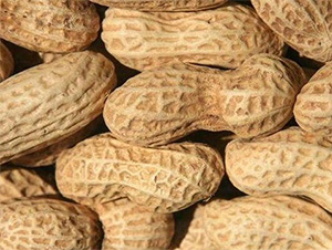 ԥ��15̖-�����N��-���S�r�I