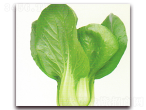 ����22̖-�๣�˷N��-����N�I