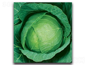 δ��783���{-���{�N��-����N�I