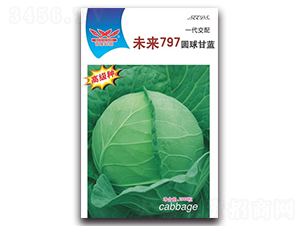 δ��797-���{�N��-����N�I