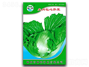 �������Ľ��-��˷N��-�ӿƷN�I