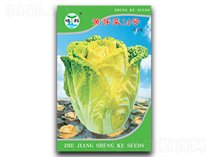 �Sѿ��14̖-ѿ�˷N��-�ӿƷN�I