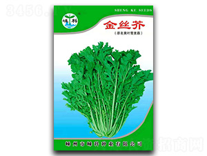 ��z��-��˷N��-�ӿƷN�I