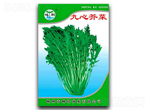 ���Ľ��-��˷N��-�ӿƷN�I