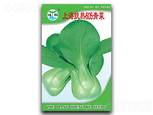 �Ϻ�����605���-��˷N��-�ӿƷN�I