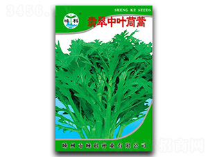 ������~����-����N��-�ӿƷN�I