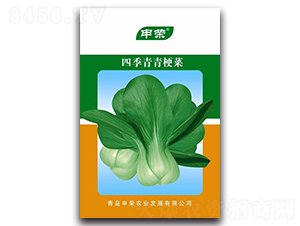 �ļ����๣��-�๣�˷N��-��s�r�I