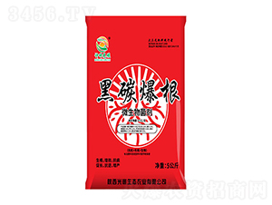 ��̼����΢�������-��̼���B