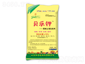 ���������{�턩-ؐ���-�ļ���