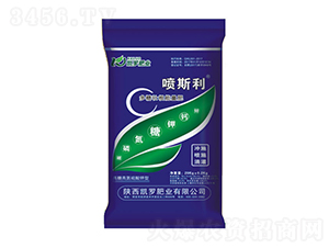 ���ǉѸ�������-�P�_�ʘI