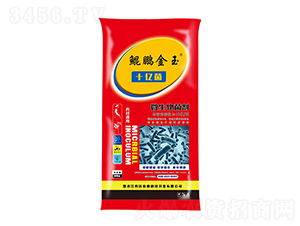 ˎ��ͨ��ʮ�|��΢�������-�����r�I