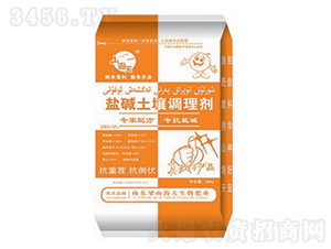 �}�A�����{�턩-��������