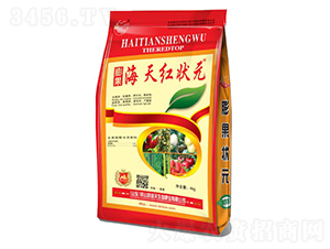 ����t��Ԫ-��������