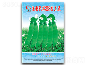 ����ܛ�v888-���m���N��-�}�ʷN�I