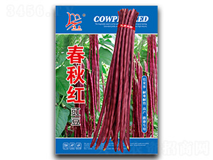 ����t����-�����N��-�}�ʷN�I