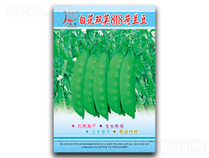 �׻��p�v818-���m���N��-�}�ʷN�I