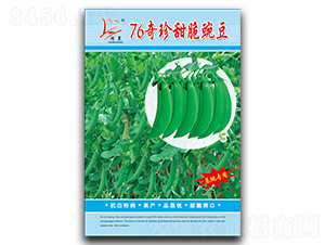 76��������㶹-�㶹�N��-�}�ʷN�I