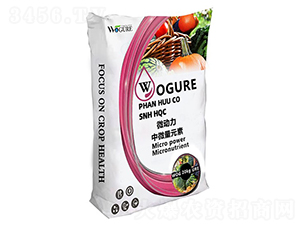 ΢������΢��Ԫ��-�ָ���