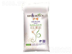 ���ȴ���Ԫ��ˮ�ܷ�-���r��̩