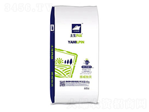 Ų���M�������{�턩-������Ʒ-����