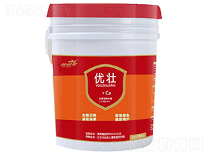 ����-�ֵ،�