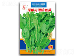 ԭ�N�o��㶹��-�㶹��N��-�}�ʷN�I