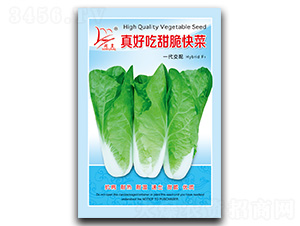 ��ó������-��˷N��-�}�ʷN�I