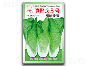 ��ó�5̖-��˷N��-�}�ʷN�I