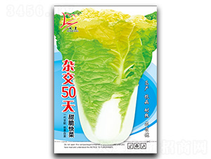 �s��50��-��˷N��-�}�ʷN�I