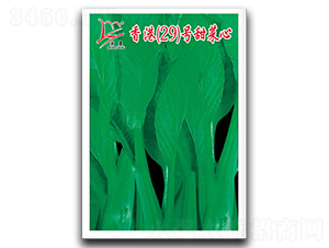 ��ۣ�29��̖�����-���ķN��-�}�ʷN�I