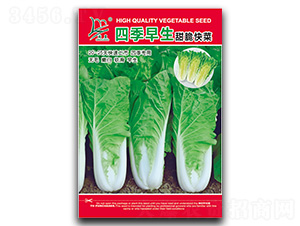 �ļ����������-��˷N��-�}�ʷN�I