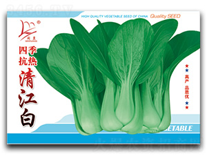 �ļ������彭��-��˷N��-�}�ʷN�I