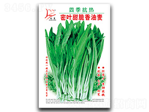 ���~���������-�����˷N��-�}�ʷN�I