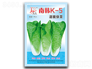 ���nK-5�����-��˷N��-�}�ʷN�I