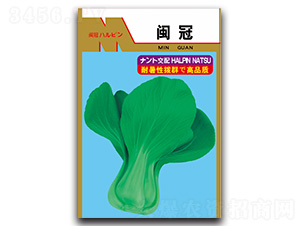 �}��-��˷N��-�}�ʷN�I