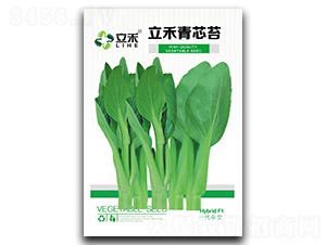 ������о̦-��̦�N��-�}�ʷN�I