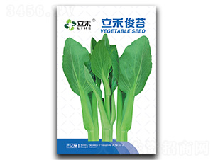 ���̿�̦-��̦�N��-�}�ʷN�I